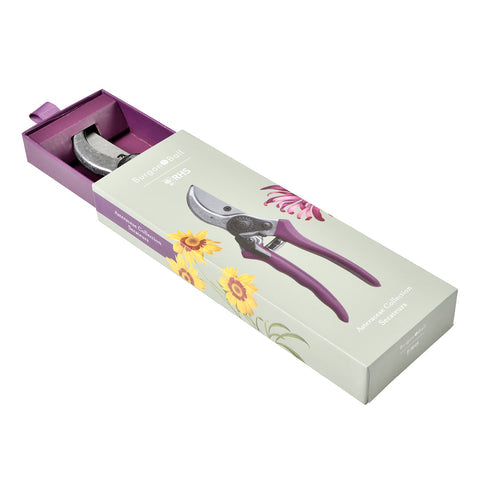 Asteraceae Secateurs