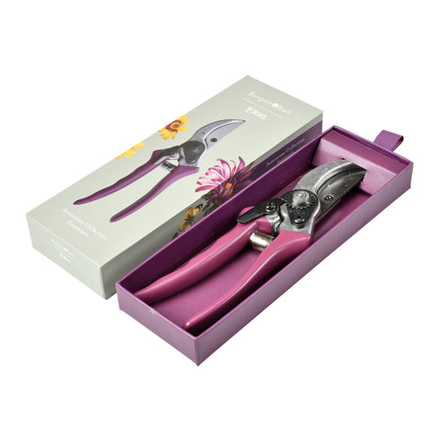 Asteraceae Secateurs