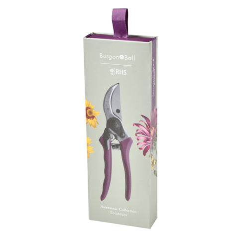 Asteraceae Secateurs