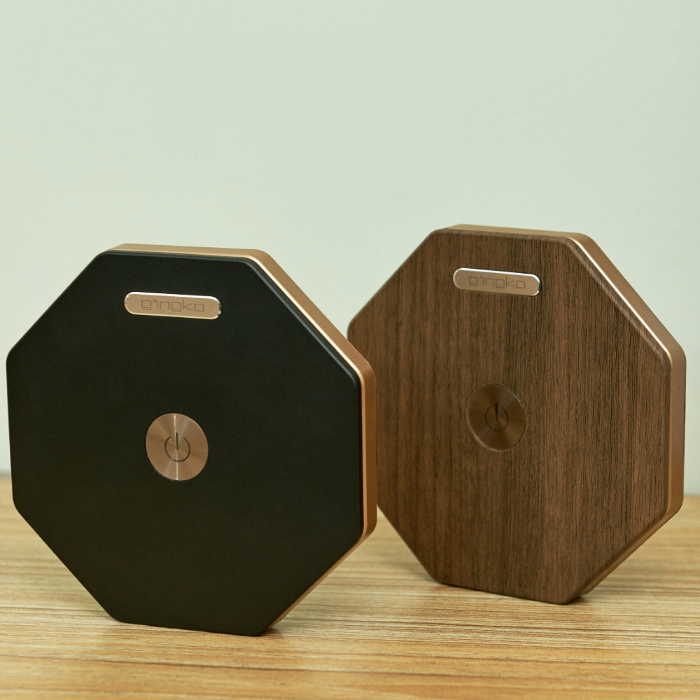 Gingko Twist Hexagon Light - Walnut