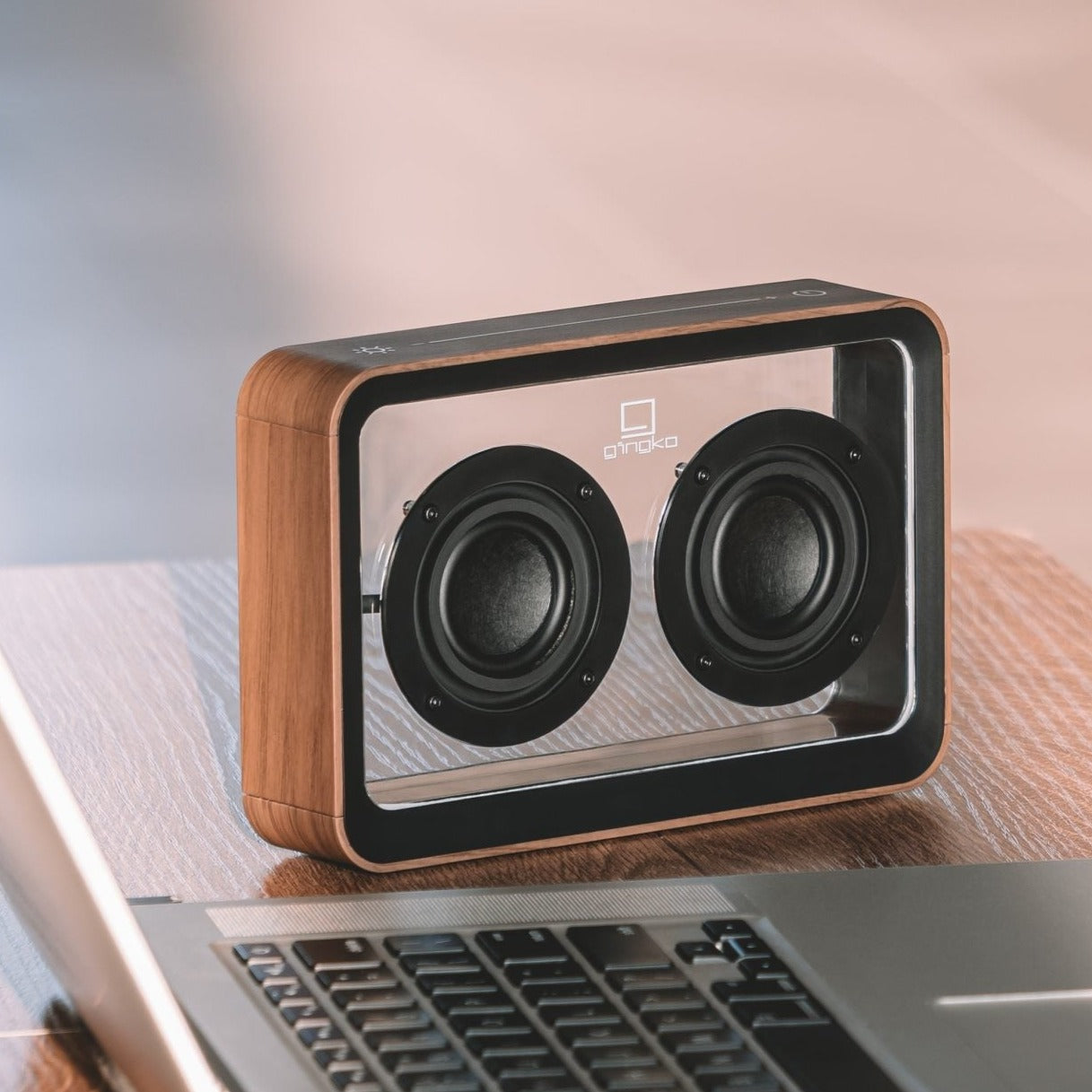 Mage See-Through Bluetooth Speaker - Walnut