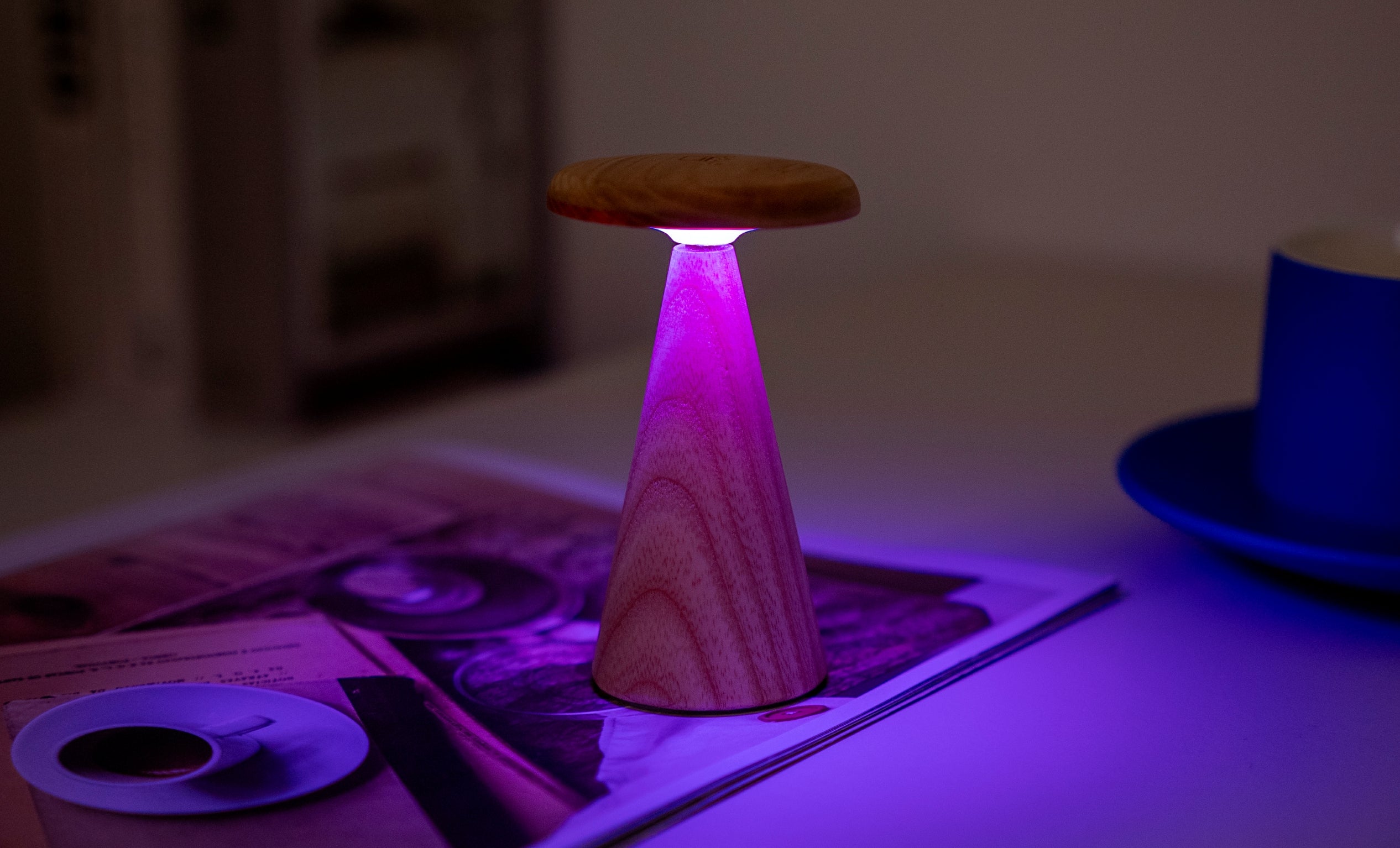 Gingko Sylva Mini Table Lamp - White Ash