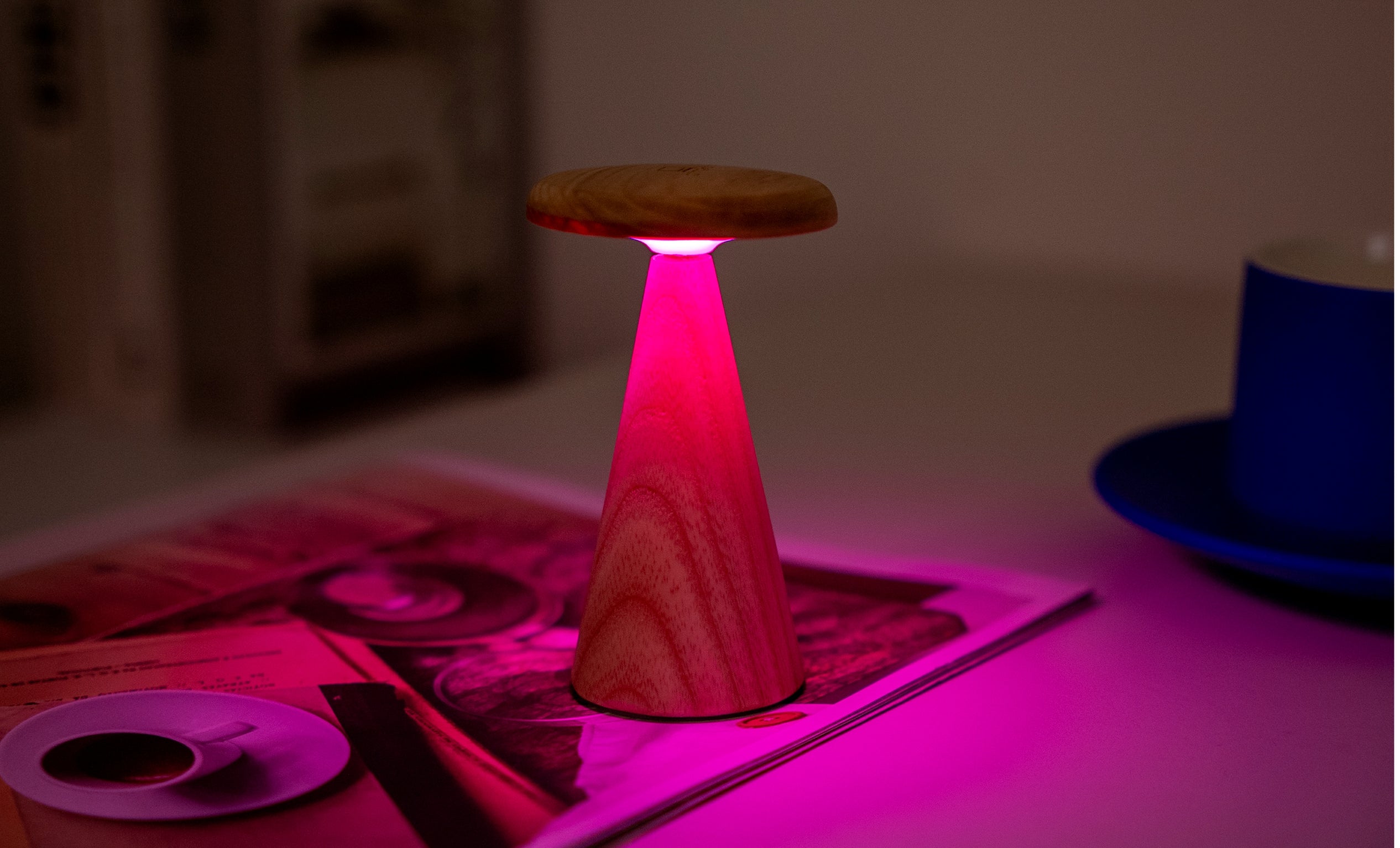 Gingko Sylva Mini Table Lamp - White Ash