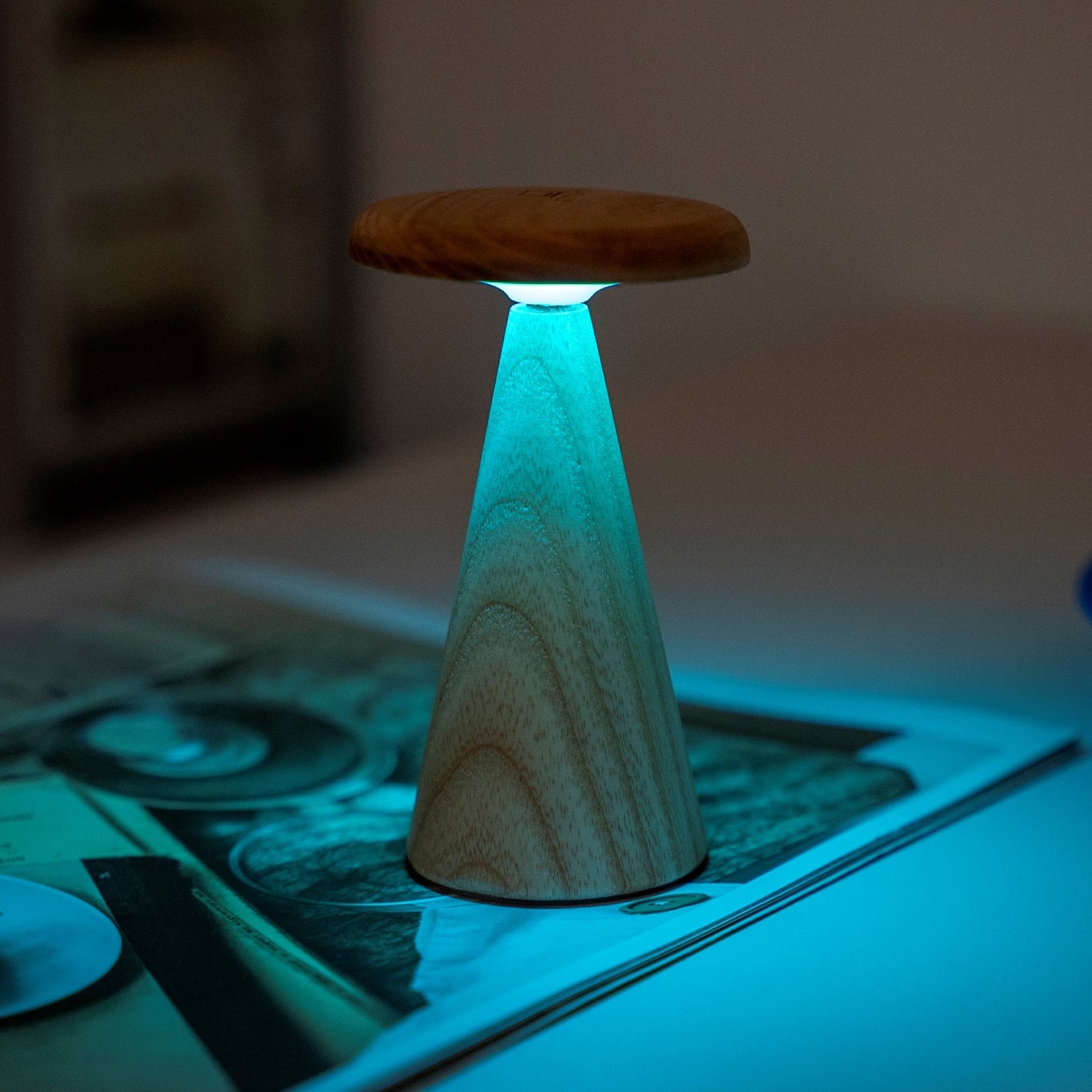 Gingko Sylva Mini Table Lamp - White Ash