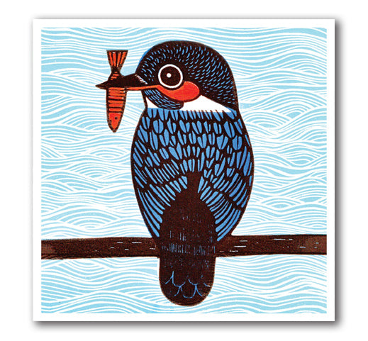 Kingfisher - Cardiau Nico Card