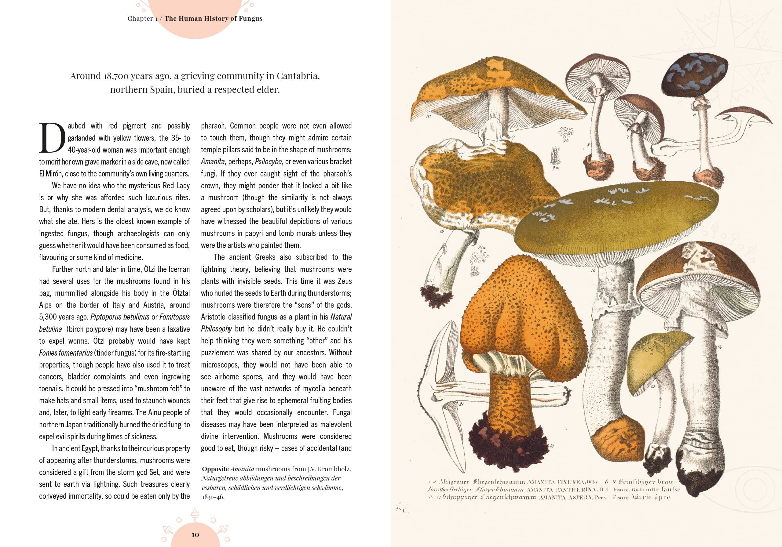 The Magic of Mushrooms (Kew Gardens)