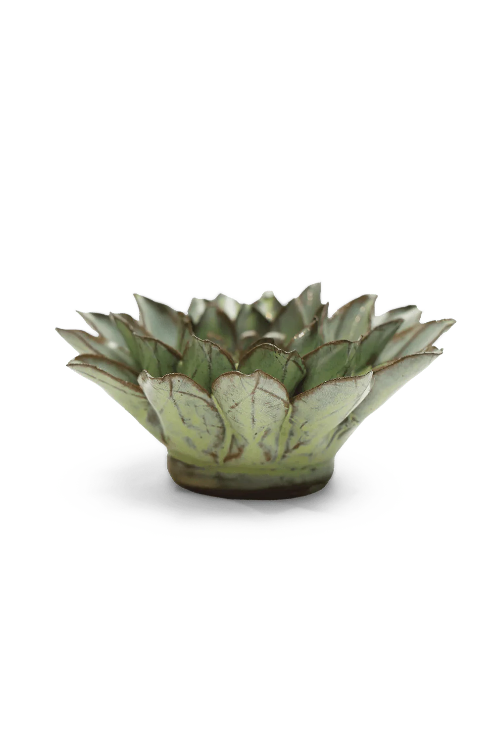 Ceramic Flower Wall Art Pear Green Calico Aster