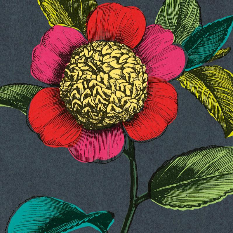 ArtPress - Colourful Camellia