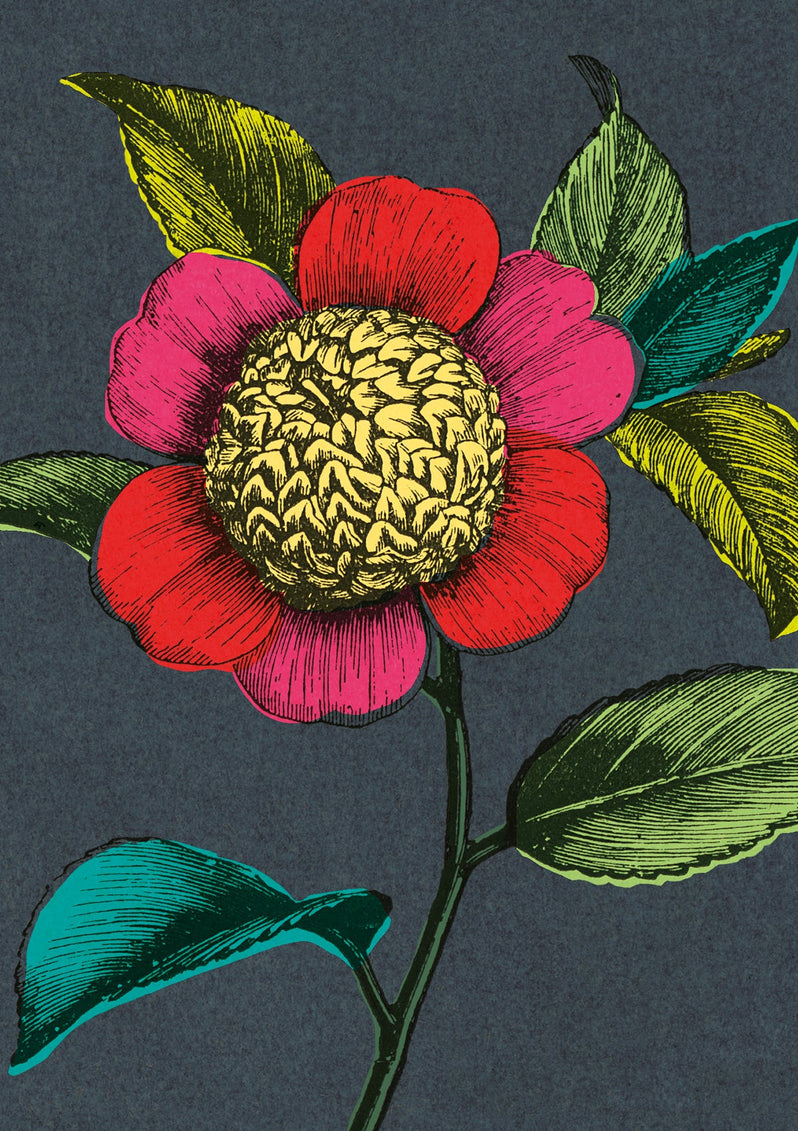 ArtPress - Colourful Camellia