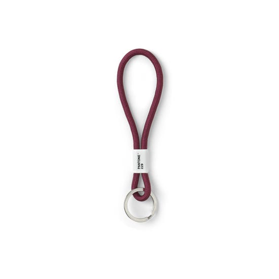 Pantone Short Key Chain