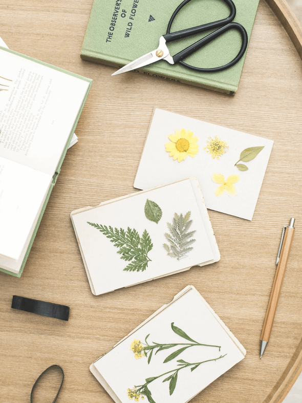 Mini Flower Press with Cosmos Flowers Design