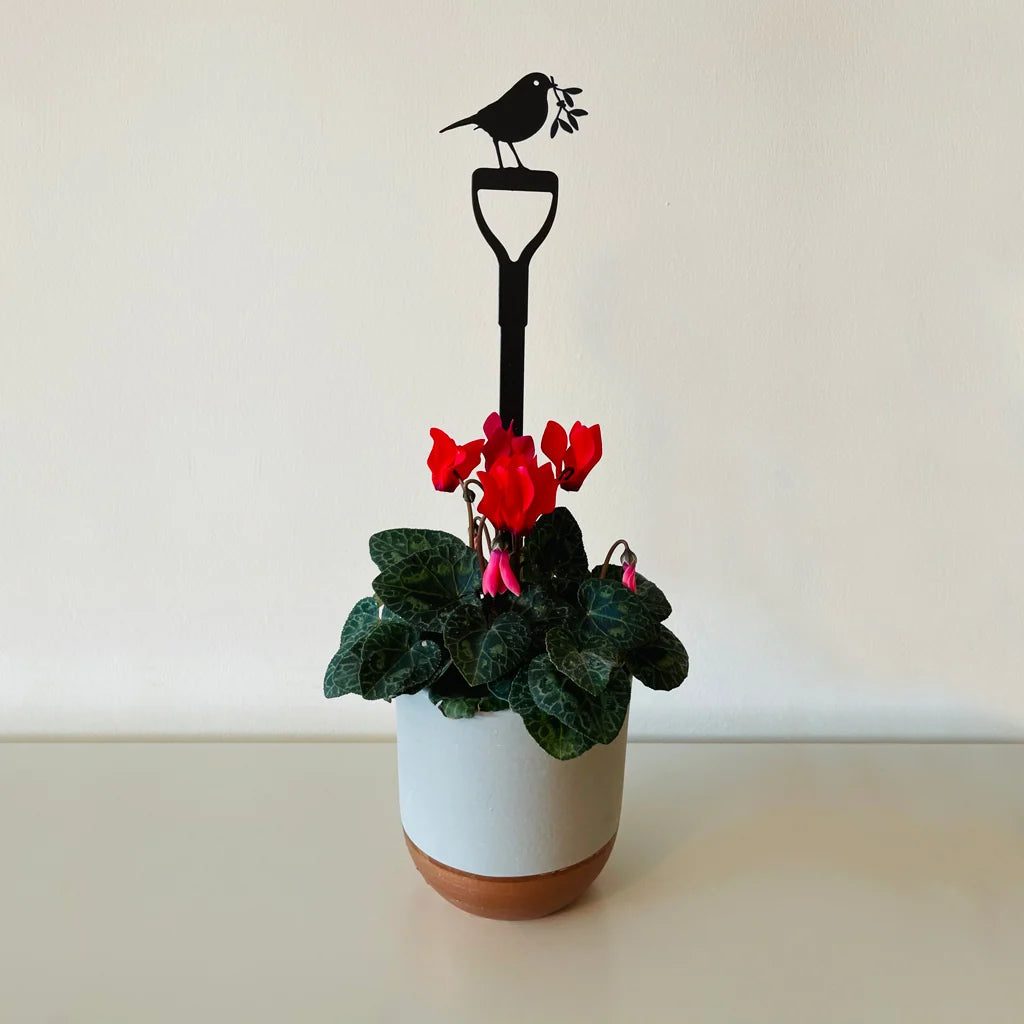 Pot Stems - Robin on a Fork with Mistletoe