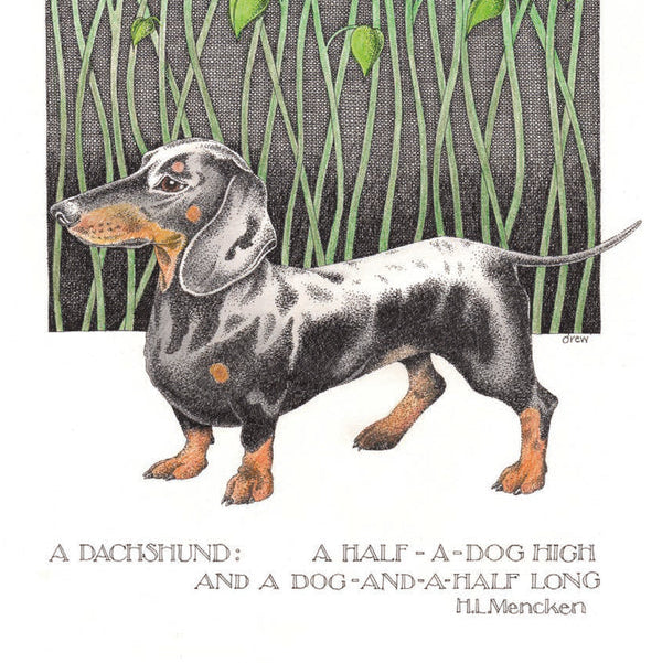 Dachshund – Funny Dog Greeting Card