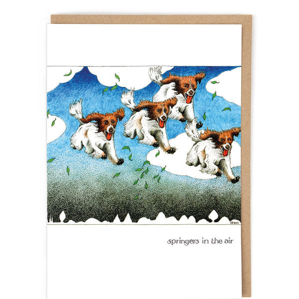Springers in the Air Card