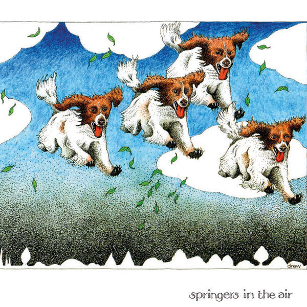 Springers in the Air Card