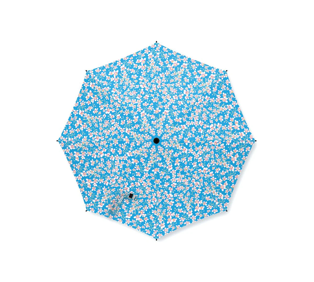 Emily Burningham Saxifrage Umbrella