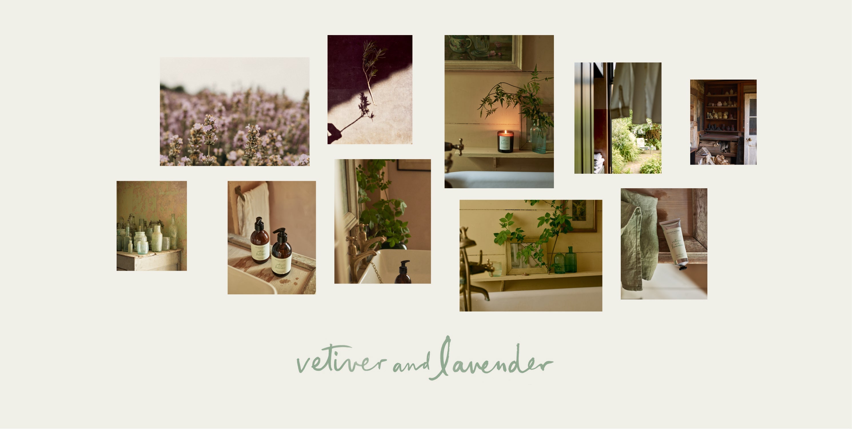 Plum & Ashby - Vetiver & Lavender Hand & Body Lotion