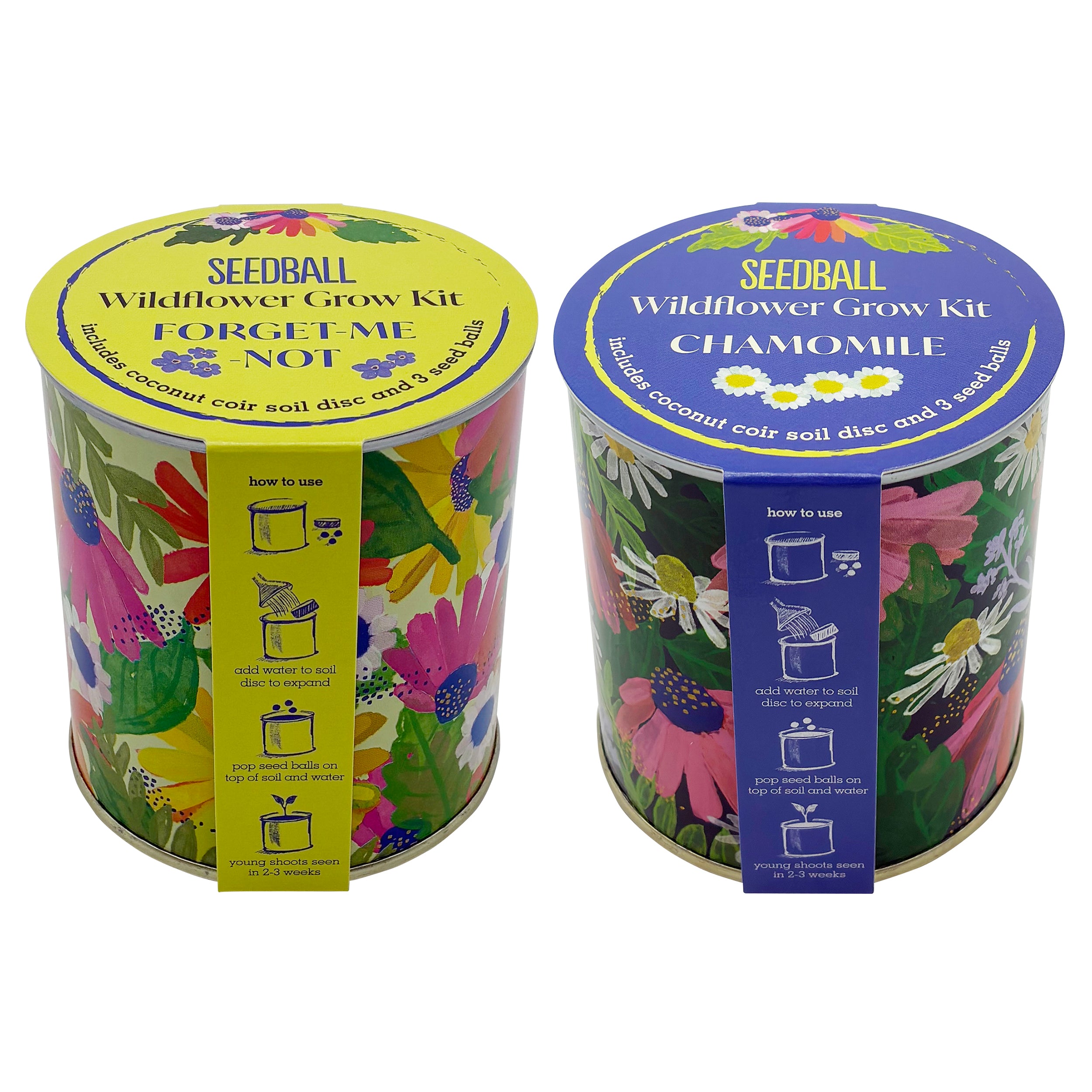 Wildflower Grow Kit - Forget-Me-Not/Camomile
