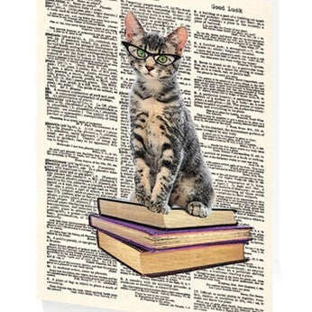 Early Reader Kitten - Exam Good Luck