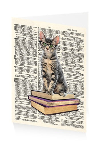 Early Reader Kitten - Exam Good Luck