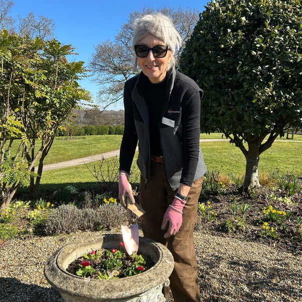 Calypso Collection  - Garden Hand Trowel