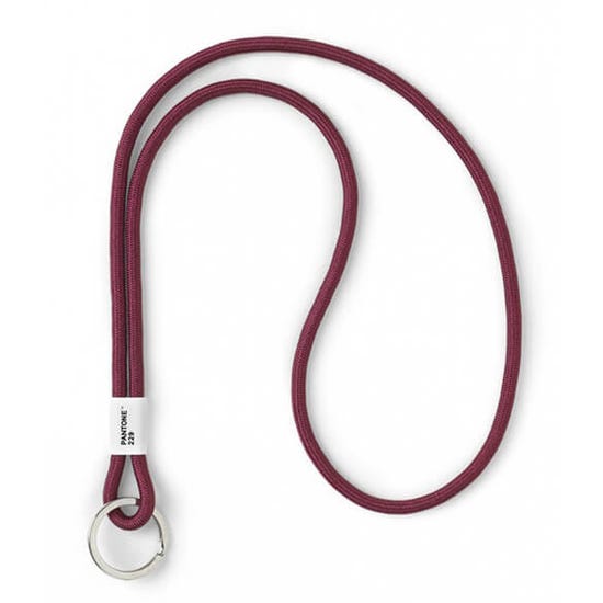 Pantone Long Key Chain