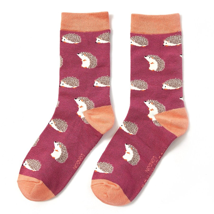 Hedgehogs Socks Box