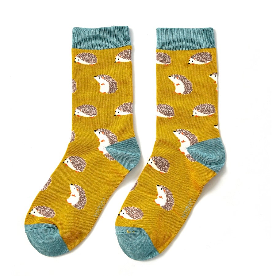 Hedgehogs Socks Box