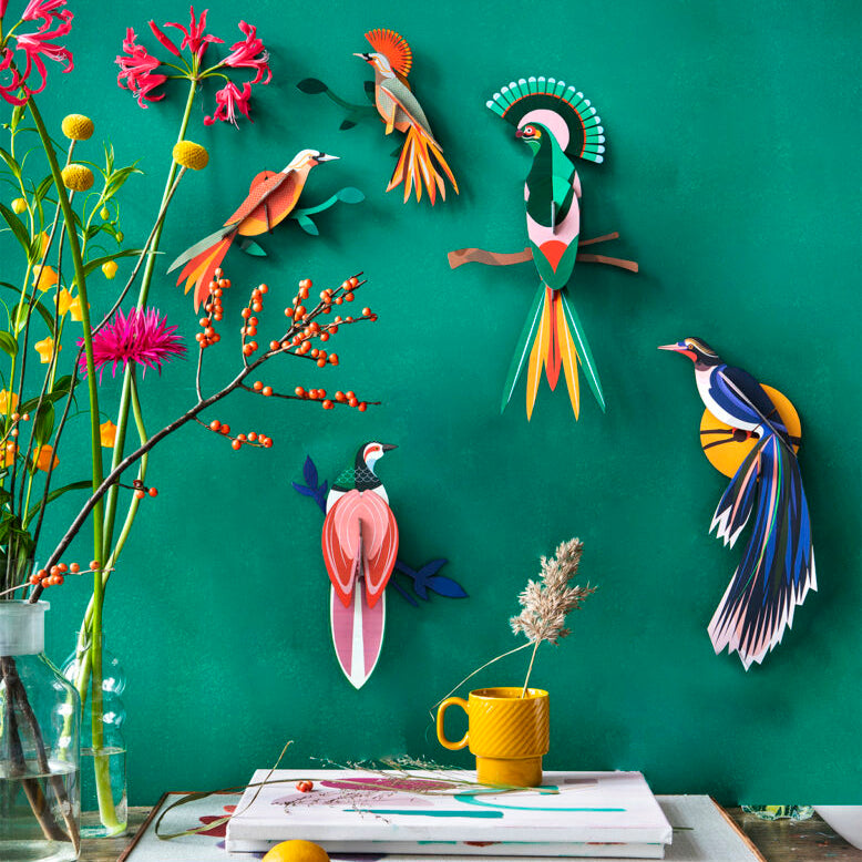 Paradise Bird Rani - Wall Art