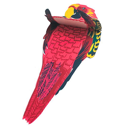 East End Press - Parrot Greeting Card
