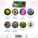 Bees Collection – Set of 6