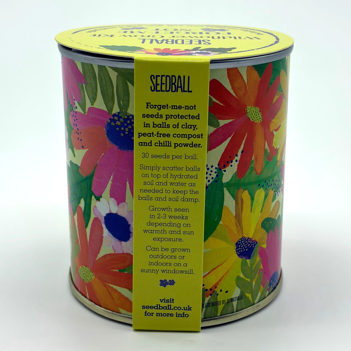 Wildflower Grow Kit - Forget-Me-Not