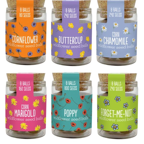 Wildflower Jars - Cornflower