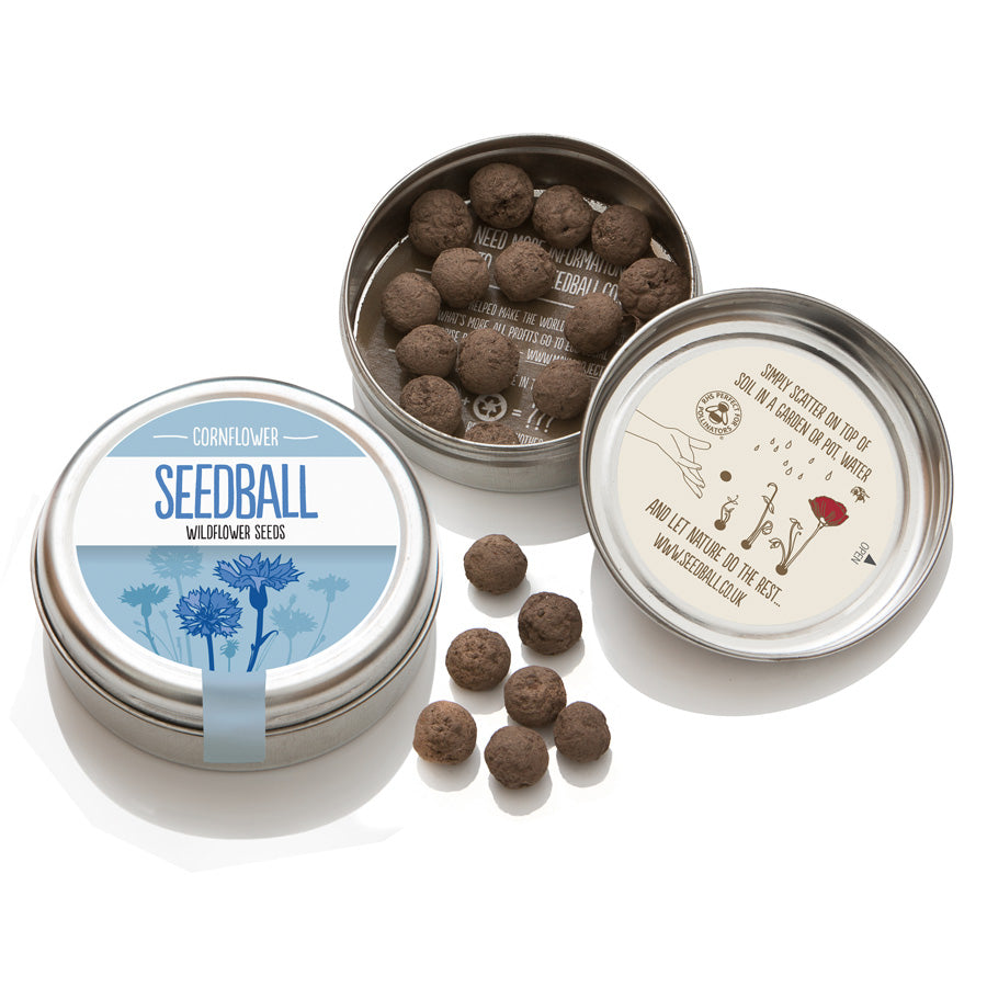 Seedball - Cornflower