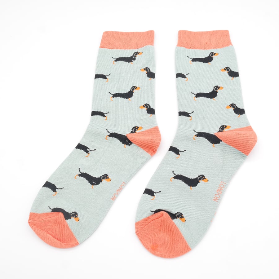 Little Sausage Dogs Socks Box