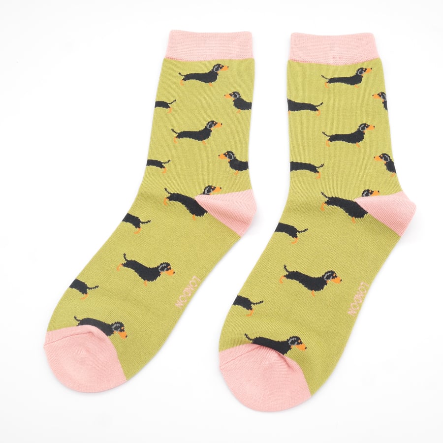 Little Sausage Dogs Socks Box