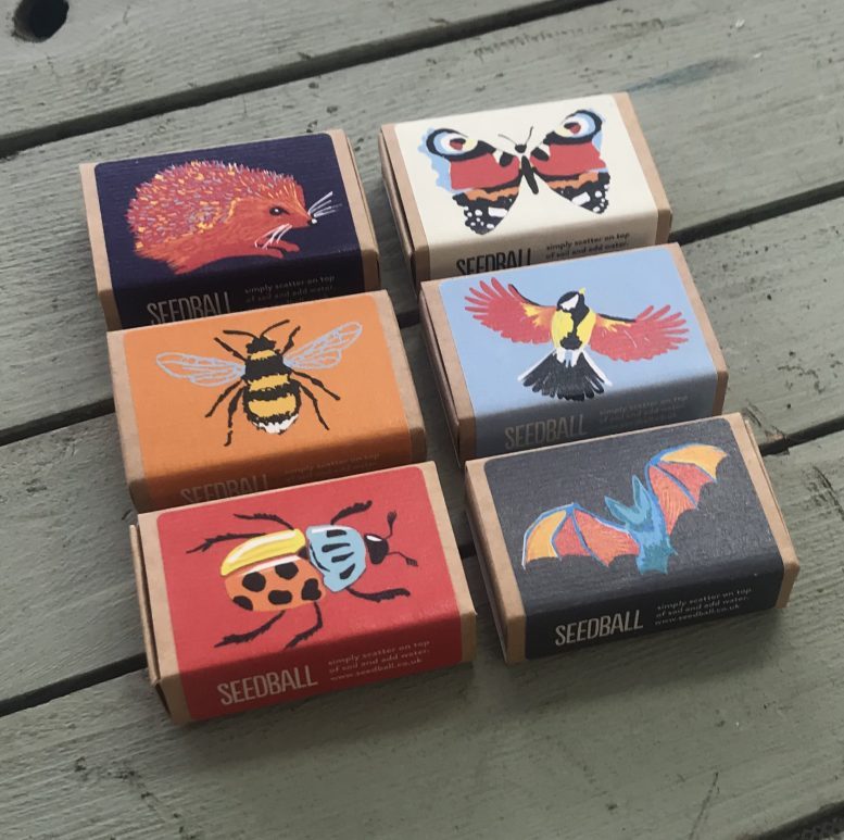 Seedball Wildflowers Collection Seed Boxes